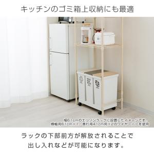 ワイヤーバー 幅41 ルミナスラテ ホワイト ...の詳細画像5