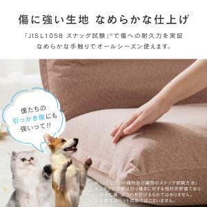 座椅子 ワイド 洗えるカバー おしゃれ 1人掛...の詳細画像5