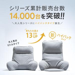 【新商品】 座椅子 背もたれ おしゃれ 1人掛...の詳細画像1