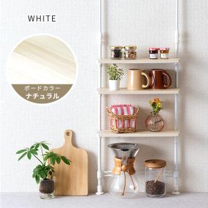 調味料ラック スリム つっぱり シンク上 コン...の詳細画像4