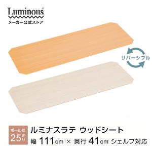 DOSHISHA（ドウシシャ） ルミナスラテ Luminous ルミナス互換 スチール