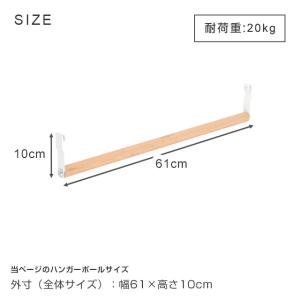 ラック パーツ ルミナスラテ 専用 ハンガーポ...の詳細画像1