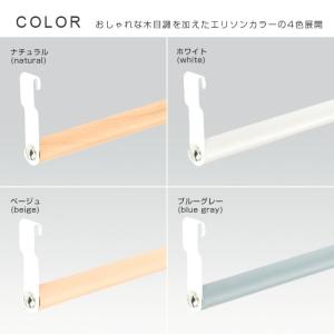 ラック パーツ ルミナスラテ 専用 ハンガーポ...の詳細画像2