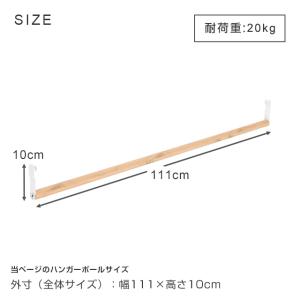 ラック パーツ ルミナスラテ 専用 ハンガーポ...の詳細画像1