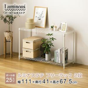 IRIS OHYAMA（アイリスオーヤマ） ラック 収納 棚 スチールラック 鏡面