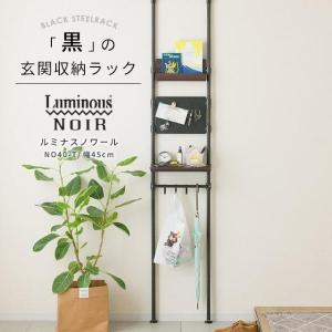 タカラスタンダード（Takara standard） 吊戸用昇降棚 幅60cm TDUR-601