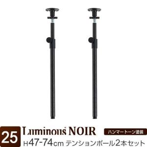Luminous 基本ポール 支柱 長さ90cm 2本 ルミナスノワール ブラック 黒