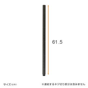 延長ポール 長さ61.5cm 4本 ルミナスノ...の詳細画像1