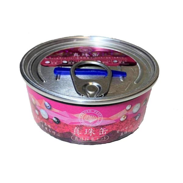 真珠缶[おもちゃ 単品]真珠採集キット HNA ギフト雑貨 知育玩具 グッズ 通販