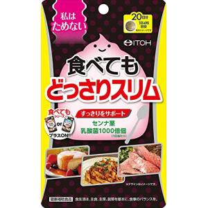 井藤漢方製薬 食べてもDiet どっさりスリム