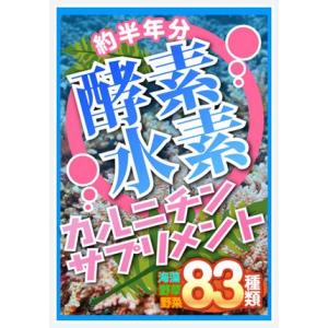 水素 酵素 約半年分酵素水素カルニチンサプリメント 180粒