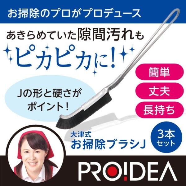 ブラシ 大津式 お掃除ブラシ J 3本組  掃除 サッシ