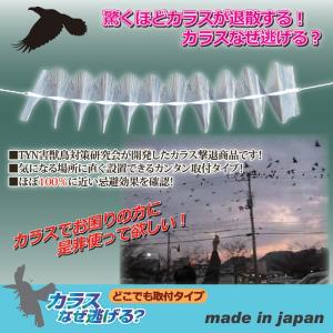 カラス 撃退 鳥よけ対策 鳥害 屋外 カラスなぜ逃げる どこでも取付タイプ｜lunabeauty