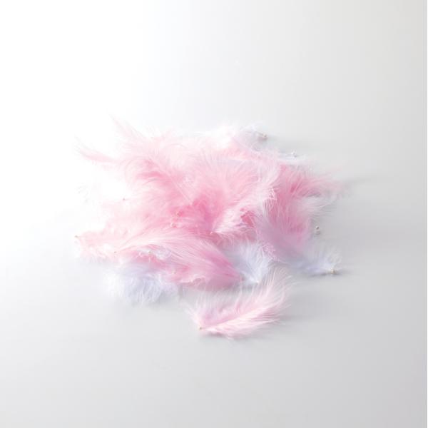 【演出用品】エンジェルシャワー（ピンク／ホワイト）　1663【シャワー演出・羽根・天使】