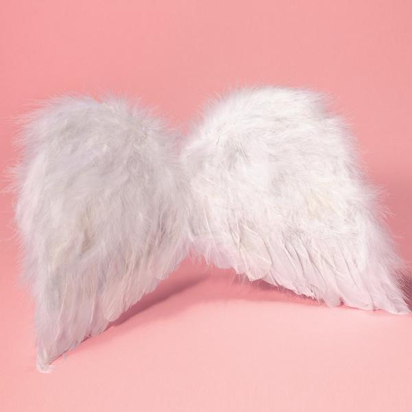 【演出用品】天使の翼//con1267【サプライズ・リングガール・リングボーイ】