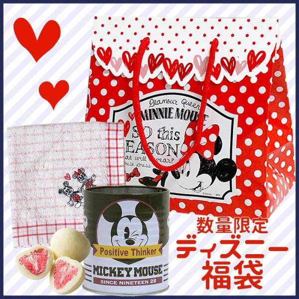 【数量限定】ディズニー　ミニー福袋【Disney・タオル・お菓子入り】【ギフト・お礼】