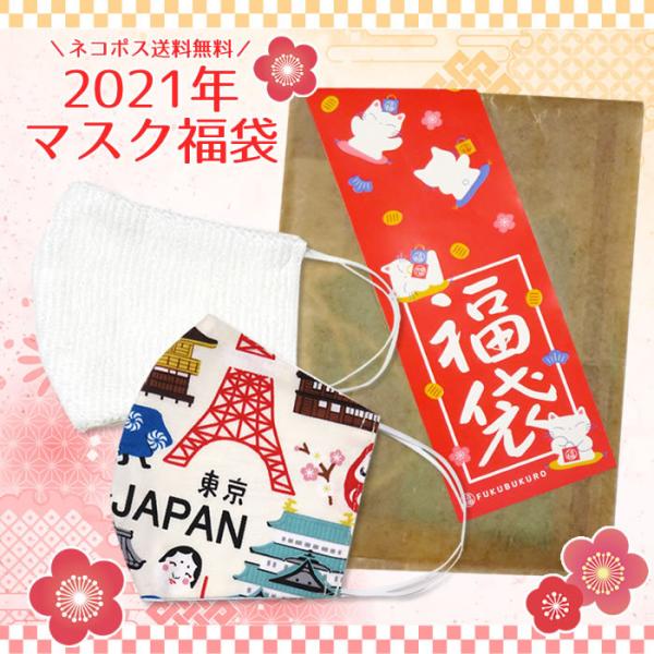【お正月】マスク福袋★ネコポス送料無料【新年・福袋・プチギフト】