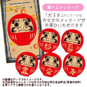 【かいろ】あったかプチギフト 招福カイロ(共通...の詳細画像4