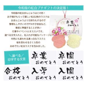 名入れ対応プチギフト 咲くさくサクラスク-PB...の詳細画像1