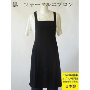 日本製 電磁波 エプロン 便利な洗濯可 ( 電界波 ・ 磁界波 ）防止素材