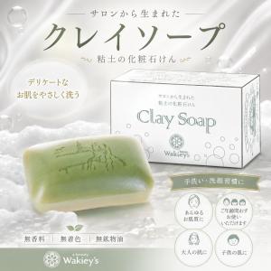 ニキビ 洗顔 洗顔料 クレイ洗顔 敏感肌 50回分 280g 毛穴 黒ずみ 低