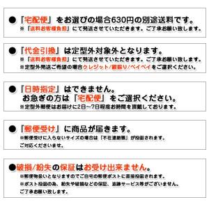 保護フィルム iPhoneXSmax iPho...の詳細画像3