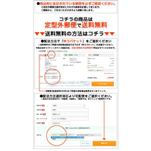 マイクロUSBケーブル TYPE-Cケーブル ...の詳細画像3