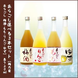 梅乃宿 あらごしシリーズ720ml 選べる飲み比べ3本セット｜lunatable