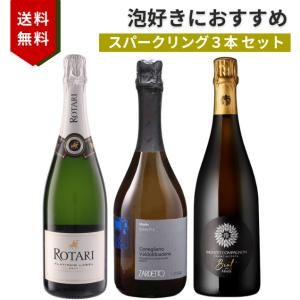 ソムリエ厳選 赤白 ギフトセット イタリアワイン 750ml 赤ワイン白