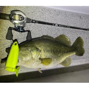 Fish Arrow（フィッシュアロー） モンスタークイーン72