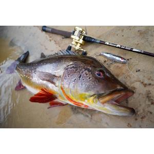 ツララ TULALA / フライテクス グルービー60S Groovy60S : NorthCast