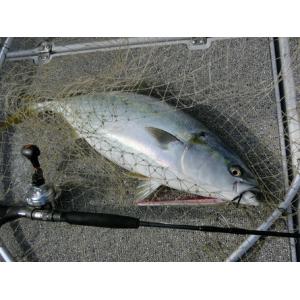 モンスターキス Shinkirow KEARSHI 72/77MS : 釣具のキャスティング