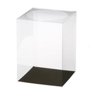 クリアケース L25サイズ 台紙付き 1個 1...の詳細画像1