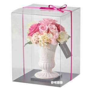 クリアケース L25サイズ 2個セット 18c...の詳細画像4