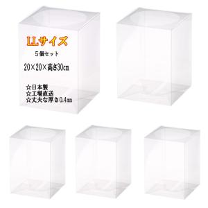 クリアケース LLサイズ 2個セット 20cm×20cm×高さ30cm 花 フラワー