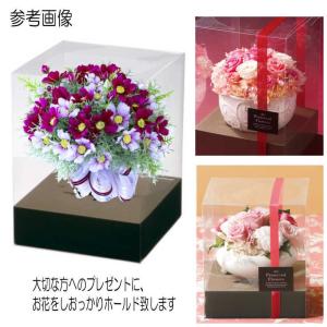 クリアケース L21サイズ立体台紙付き 1個 ...の詳細画像3