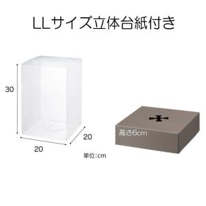 クリアケース LLサイズ立体台紙付き 1個 2...の詳細画像2