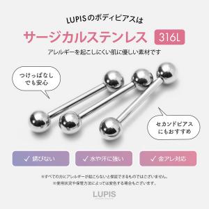 ボディピアス 16G ストレートバーベル サー...の詳細画像2