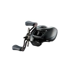 DAIWA（ダイワ） スティーズ A II TW 1000L / ベイトリール 左巻