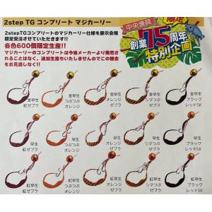 スタート　2stepTG コンプリート　展示会カラー　マジカーリー　80g　タングステン