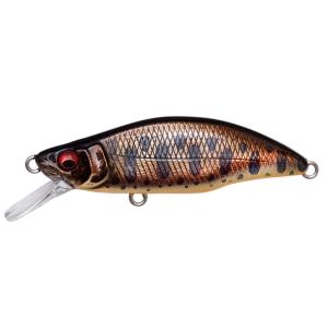 Megabass（メガバス） タイプX Megabass Type-X : 松本釣具店Yahoo!店