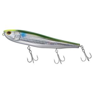 EverGreen エバーグリーン アマゾンペンシル ボーンモデル