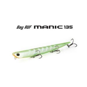 DAIWA（ダイワ） エンブレムX 4500A/C341M 美品 釣り 遠投リール