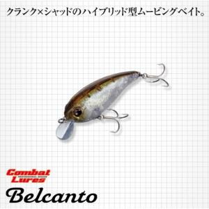 EverGreen エバーグリーン バンクシャッド MID / EVERGREEN Bank