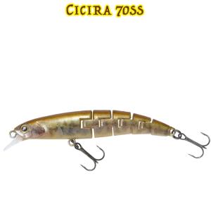 スタジオコンポジット ボルタ 325 RTM MKダブルチャート 限定 楽天市場】ID ボルタ 325 RTM ヘッドショット仕様限定モデル
