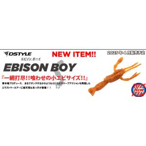 特価　ディスタイル　EBISON BOY(エビソンボーイ)