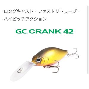 issei（一誠） G.C.G.N. MINNOW G.C.G.N.ミノー 89SR-SP : ルアー