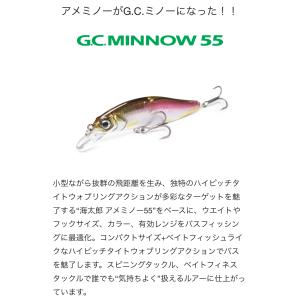 issei（一誠） G.C.G.N. MINNOW G.C.G.N.ミノー 89SR-SP : ルアー