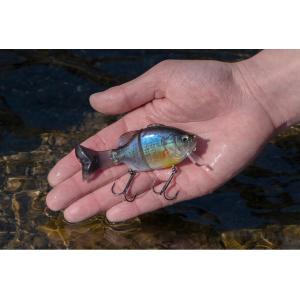 MADNESS（マドネス） バラム200 #17 KESHIN（化神） : 池袋タックル