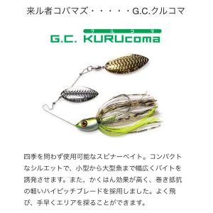 issei/一誠 AK Chatter/AKチャター (10g、13g、21g) 【メール便可